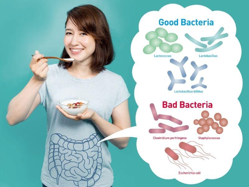 What Are Probiotics? - Puraiva Nutrition