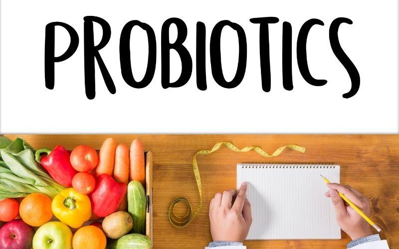 How to Correctly Use Probiotics - Puraiva Nutrition