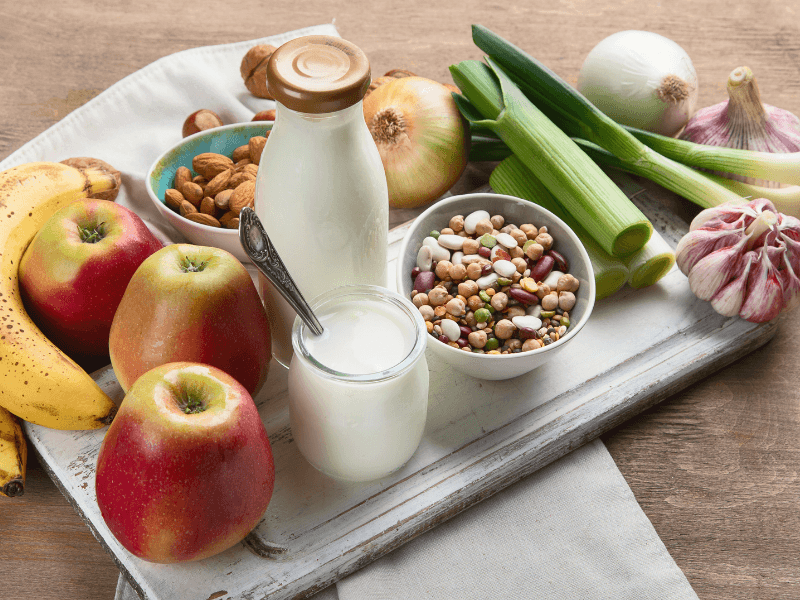 Get Your Probiotics Naturally through Food | Puraiva - Puraiva Nutrition
