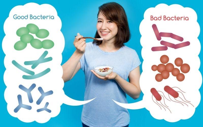 Understanding the Bacteria in Your Body - Puraiva Nutrition